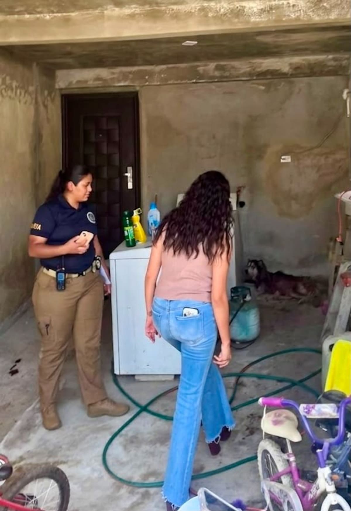 La Fiscalía de Baja California aseguró a un husky que presentaba desnutrición y una enfermedad dermatológica; el can permanece bajo atención veterinaria.
Fotos: Cortesía.