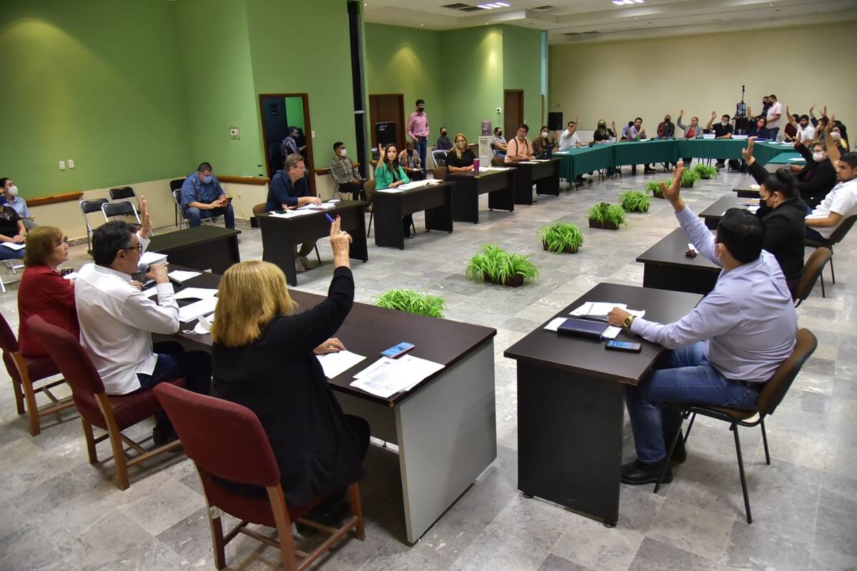 Participación de regidores de Cajeme es muy baja: Cajeme cómo vamos