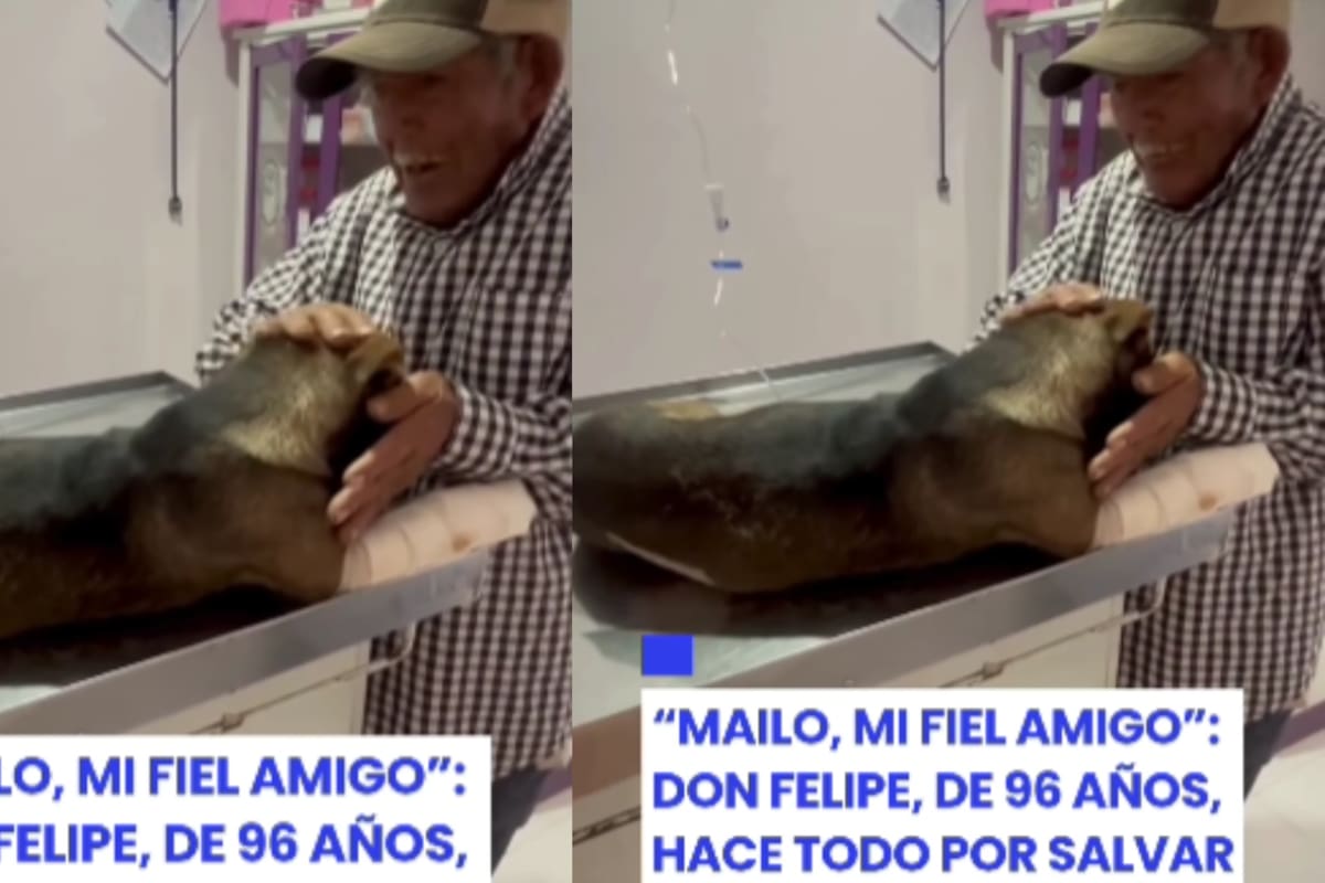 Hombre de 96 años conmueve a redes sociales por hacer hasta lo imposible para salvar a su mascota