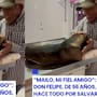 Hombre de 96 años conmueve a redes sociales por hacer hasta lo imposible para salvar a su mascota