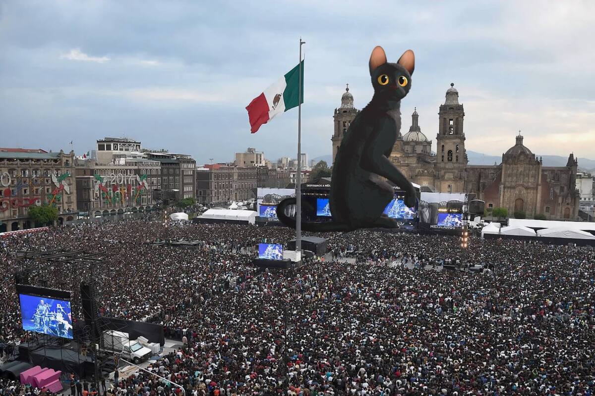 ¡“Flow” será proyectada en el Zócalo de Ciudad de México!