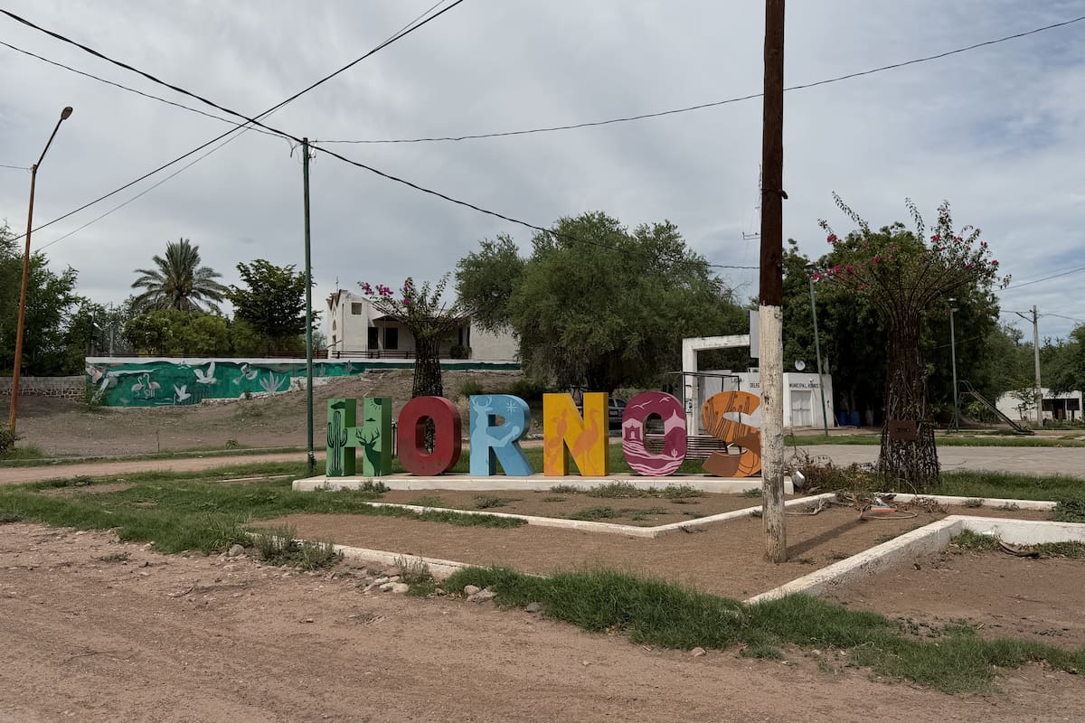 Habitantes de Hornos pasan hasta dos días sin luz tras lluvias y vientos en Sonora; qué zonas son afectadas y cómo reportar las fallas a CFE