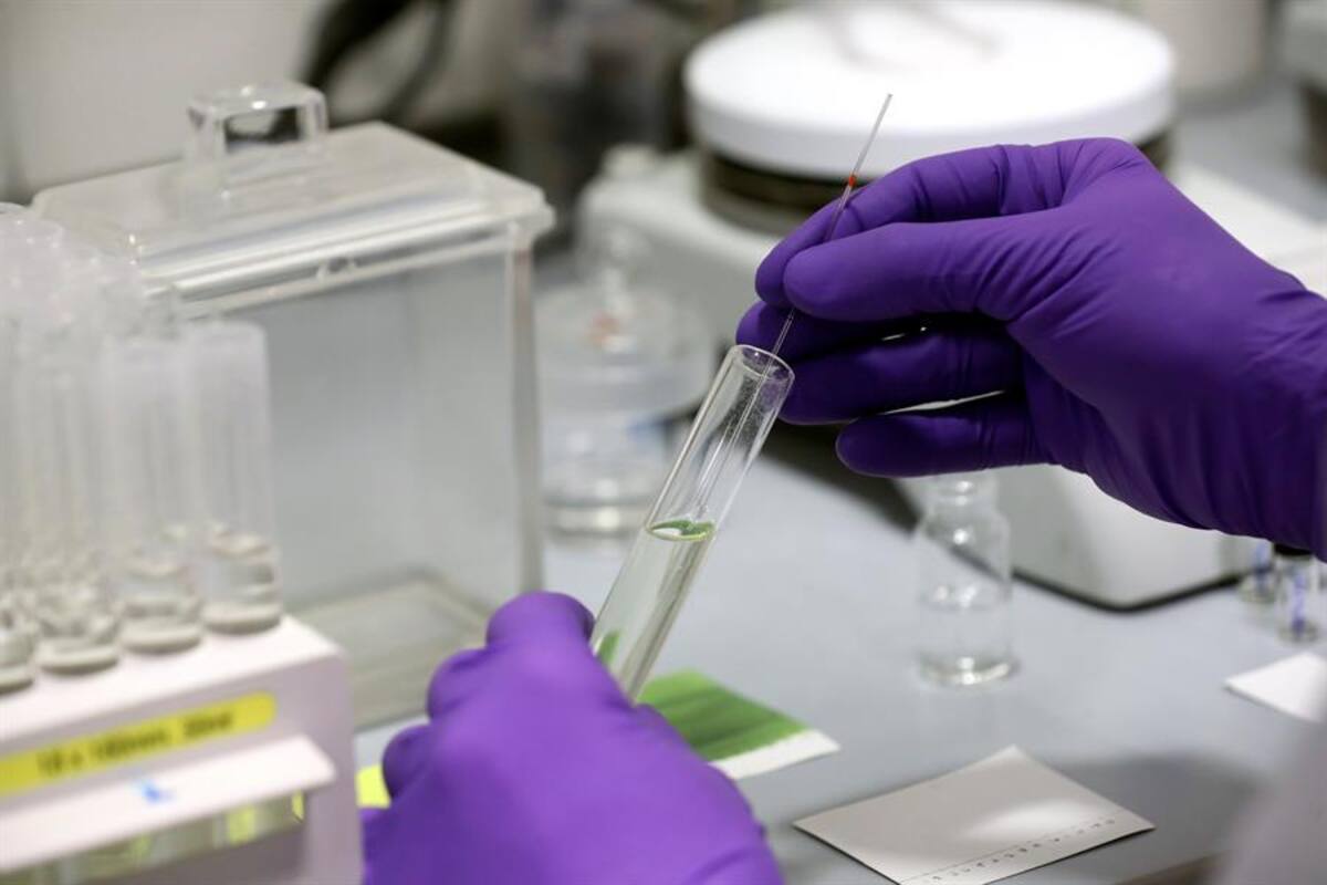 Coronavirus: Nueva York dará a manera de prueba cloroquina e hidroxicloroquina a afectados graves