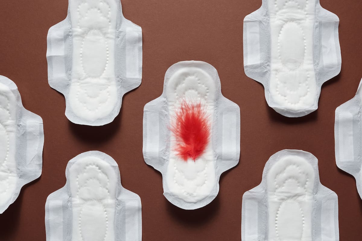 ¿Qué influye en la primera menstruación?: Un estudio apunta al rol del abuelo y la exposición química