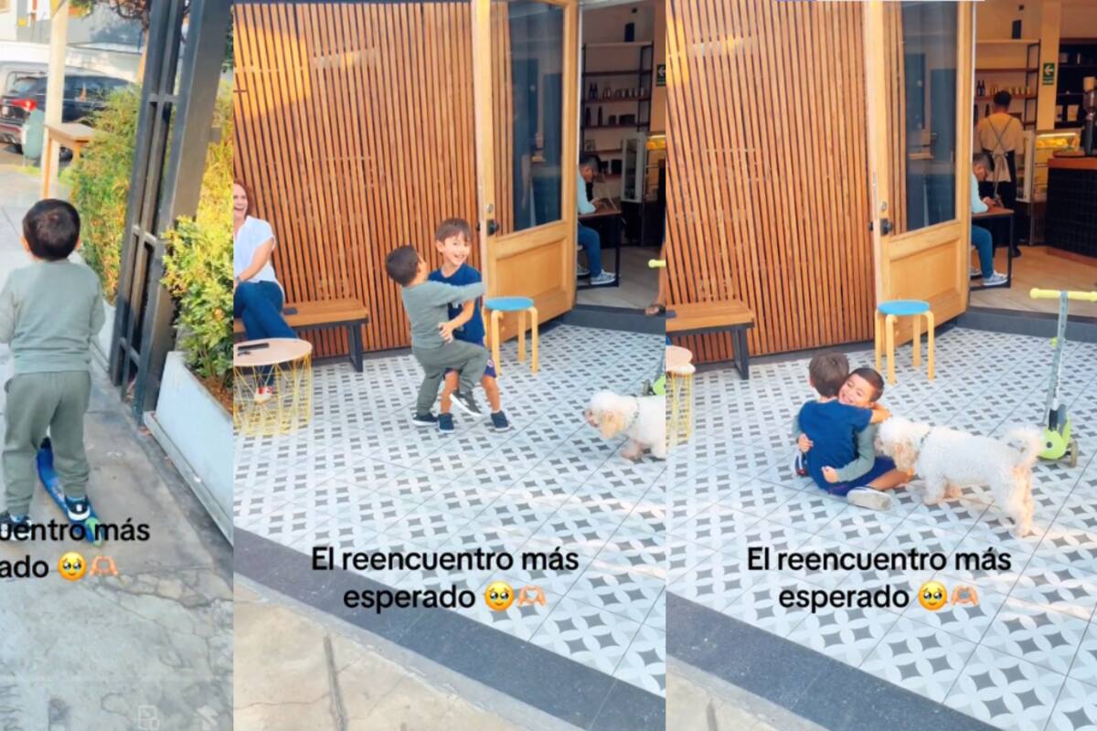 El reencuentro de estos pequeños mejores amigos ha conmovido las redes sociales | VIDEO