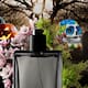 Los perfumes con los aromas más lúgubres para Halloween y Día de Muertos con notas de tierra mojada, musgo y flores marchitas, conoce las fragancias inspiradas en cementerios, casas abandonadas y escenarios de terror
