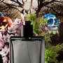 Los perfumes con los aromas más lúgubres para Halloween y Día de Muertos con notas de tierra mojada, musgo y flores marchitas, conoce las fragancias inspiradas en cementerios, casas abandonadas y escenarios de terror