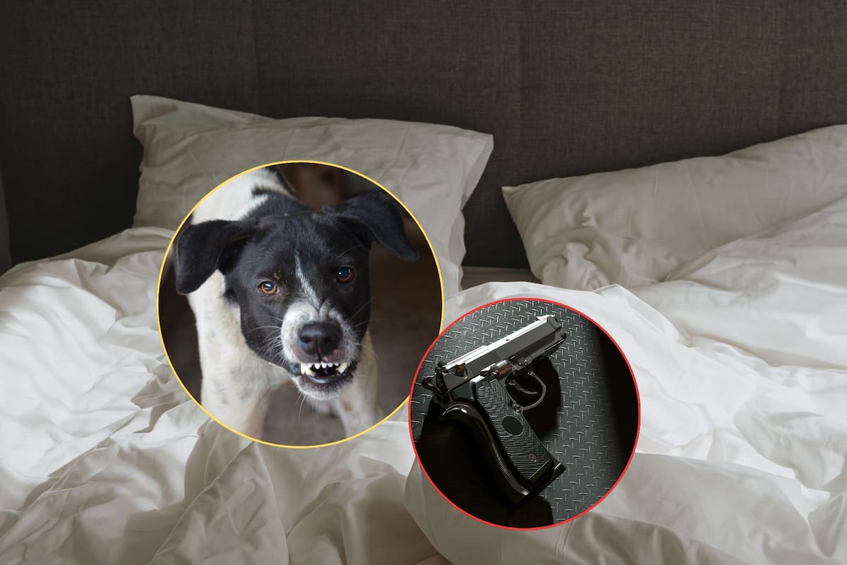 Perro disparó a su dueño con una pistola mientras estaba en la cama con una amiga: ¿Qué fue lo que sucedió?