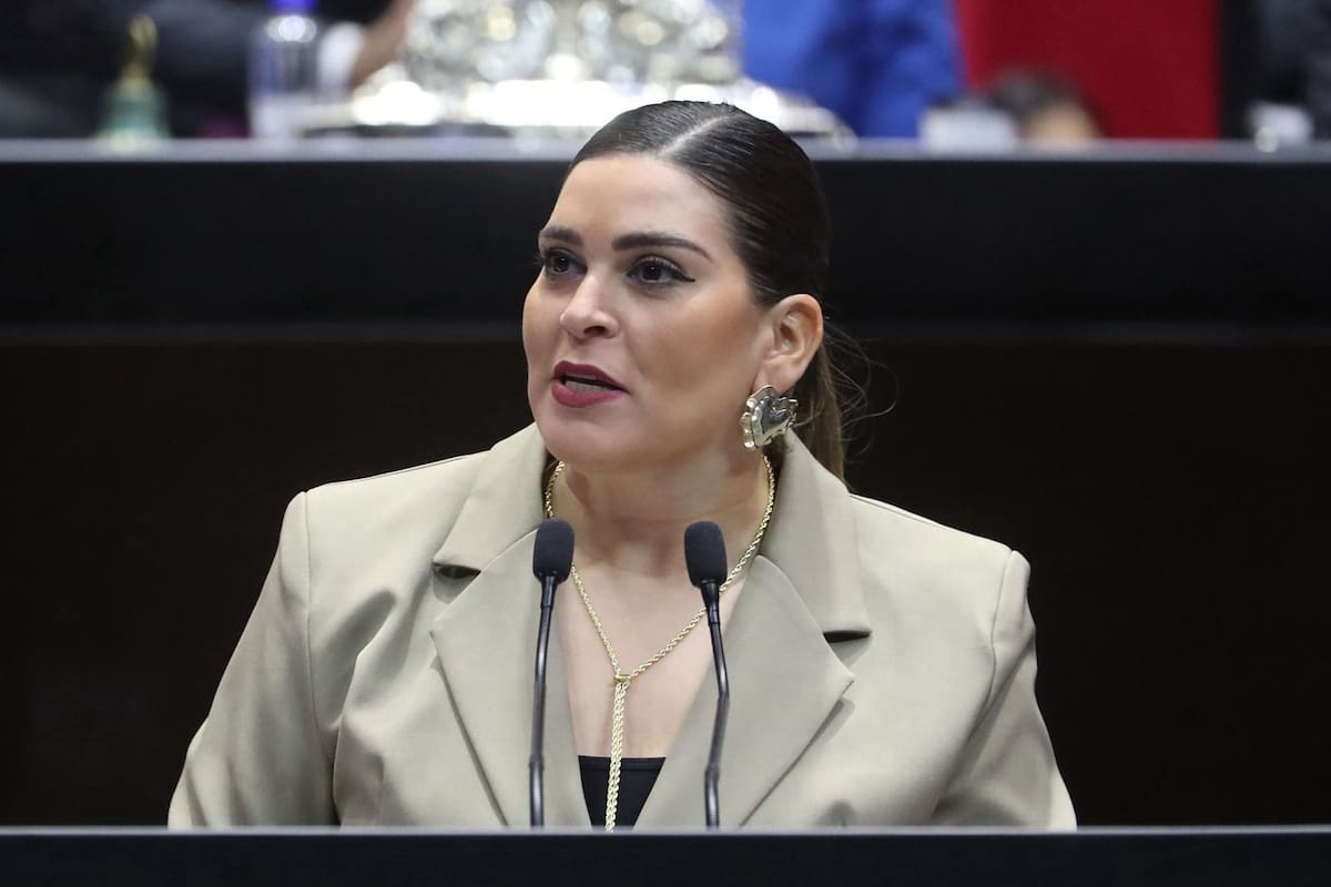 Diputada Ana Isabel González González propuso responsabilizar a padres de familia en la lucha contra el bullying escolar; Se plantea imponer de sanciones y multas para los padres