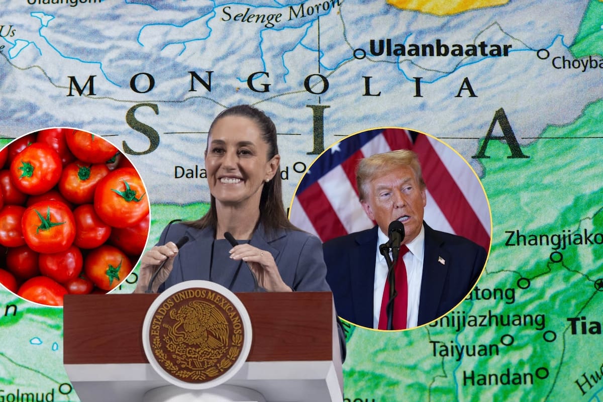 Tras imposición de arancel al tomate mexicano, México desvía la mirada a Asia en búsqueda de nuevos mercados