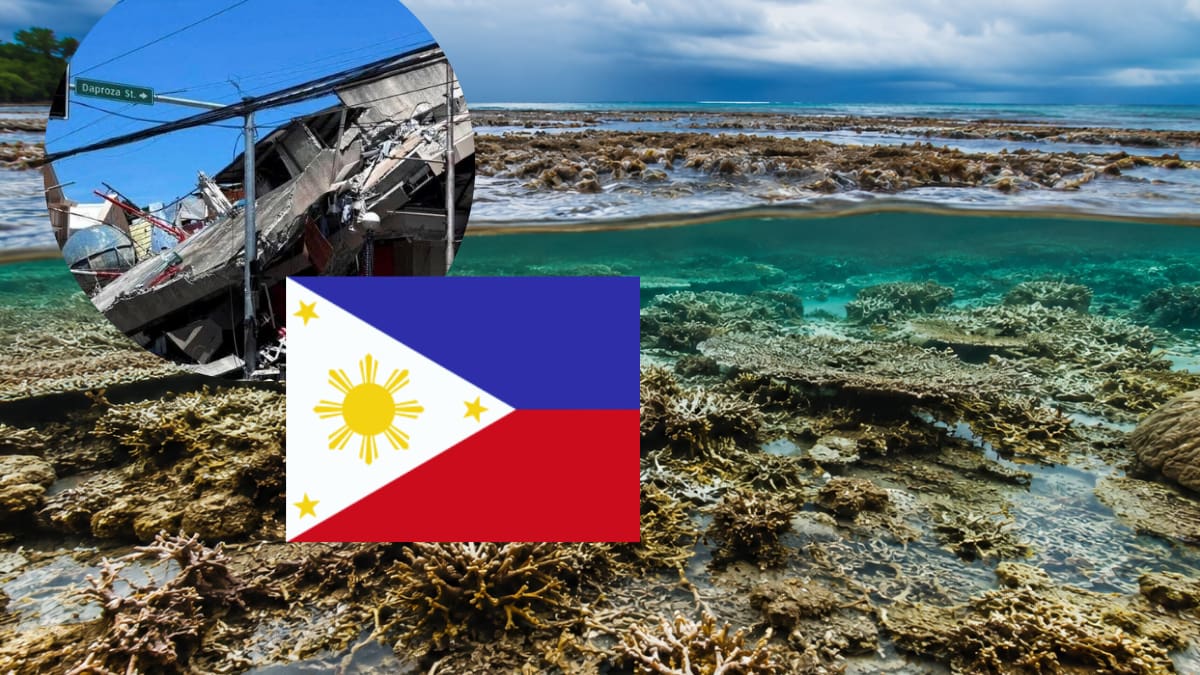 Terremoto en Filipinas eleva el lecho marino hasta dos metros, deja corales expuestos y eleva a 65 la cifra de muertos en Mindanao