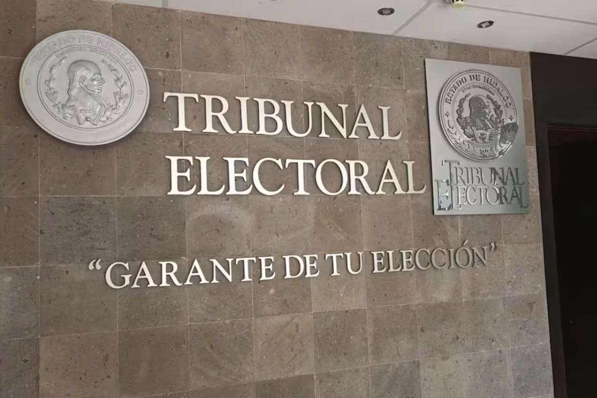 Tribunal Electoral ordena al INE volver a verificar a los aspirantes a observadores electorales para detectar vínculos con programas sociales tras revocar el cambio que había sustituido el cotejo de registros por una declaración