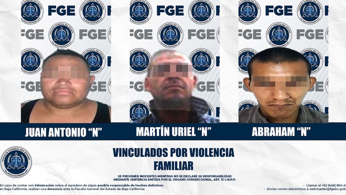 Rompió la puerta para entrar y golpearla, otro atacó a su padre con cuchillo y el tercero ya tenía denuncia previa: tres vinculados por violencia familiar