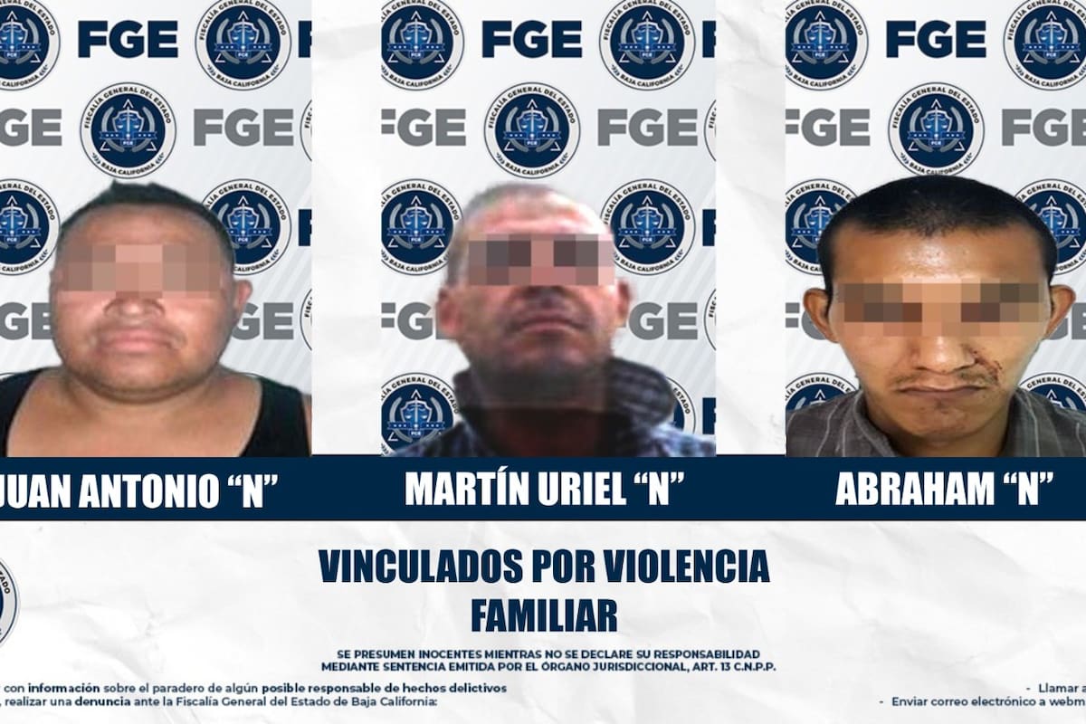 Rompió la puerta para entrar y golpearla, otro atacó a su padre con cuchillo y el tercero ya tenía denuncia previa: tres vinculados por violencia familiar