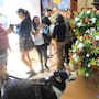 Celebran a San Francisco de Asís y a las mascotas en Tijuana