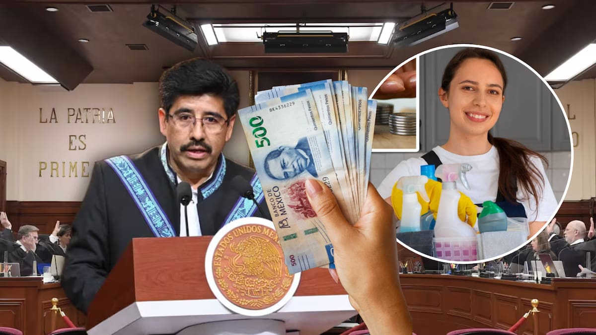 La SCJN falló a favor de las mujeres por su labor cuidando hijos, cocinando y llevando la casa pues estableció que en casos de divorcios debe haber una compensación económica adicional por el trabajo doméstico