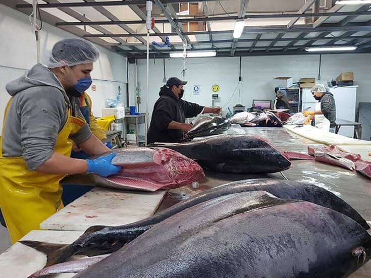 Inseguridad empaña buen año para la pesca en Baja California