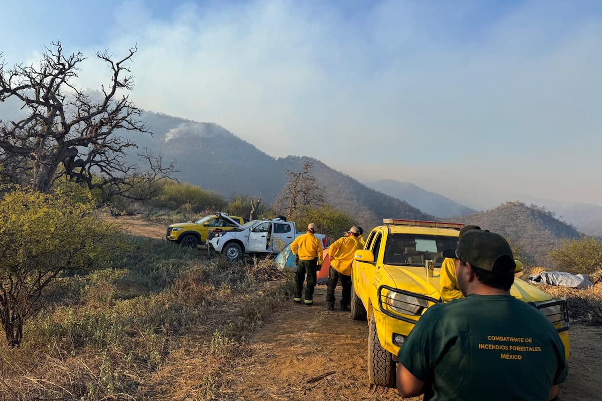 Sonora está entre los estados más afectados y concentra uno de cada seis incendios forestales activos del País