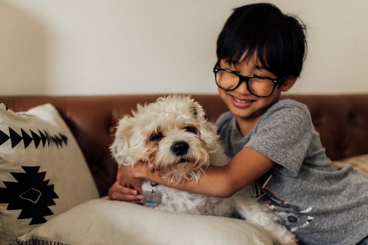 La influencia positiva de las mascotas en el desarrollo emocional de los niños