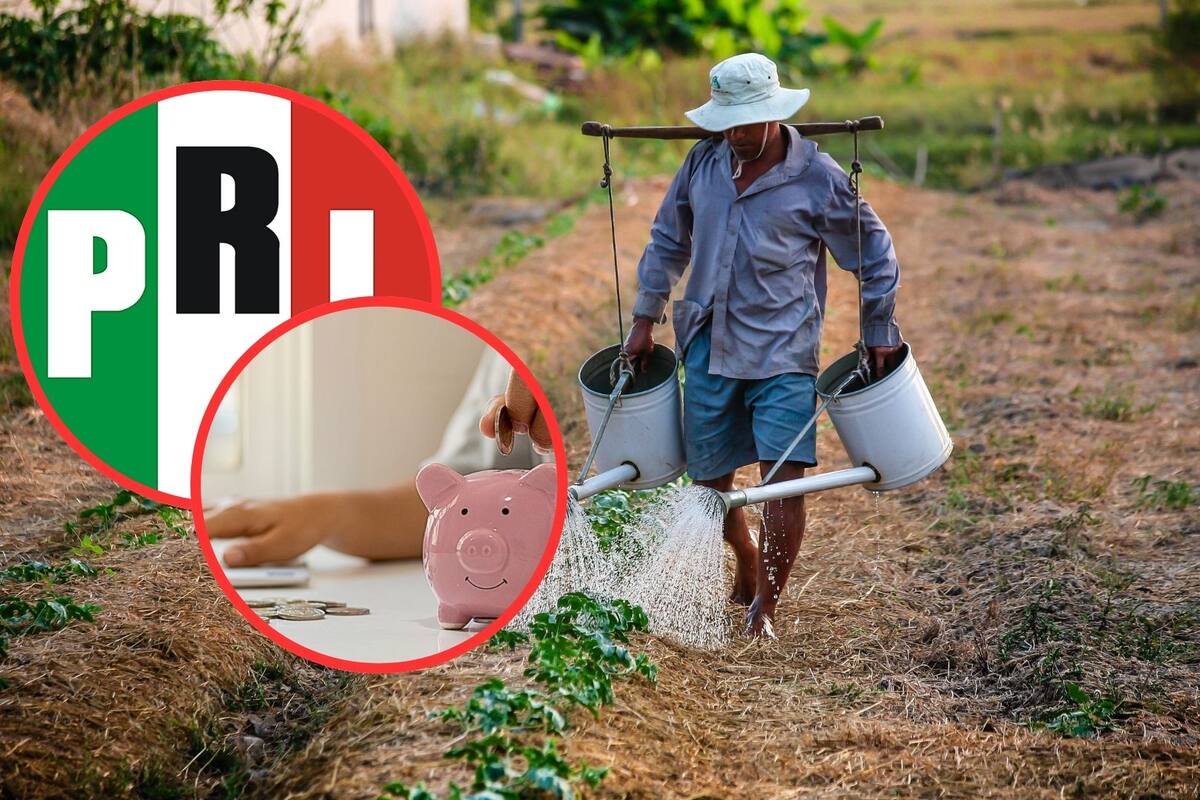 PRI propone la creación de una ‘Comisión Especial’ para liquidar el Fobaproa