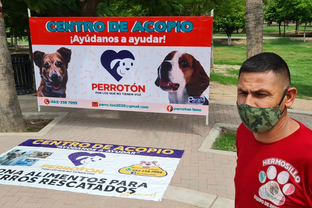 Realizan jornada del Perrotón en Parque Madero