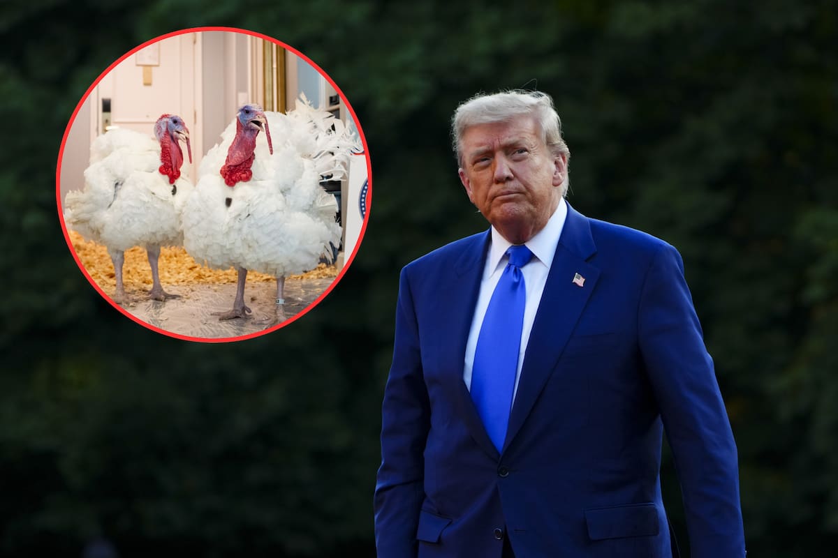 Donald Trump indulta a dos pavos de terminar en la mesa como platillo tradicional del Día de Acción de Gracias