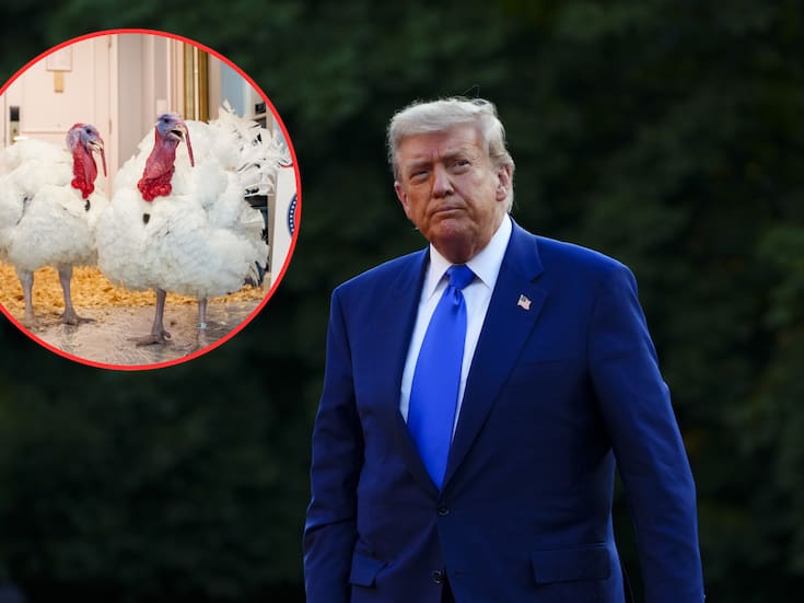 Donald Trump indulta a dos pavos de terminar en la mesa como platillo tradicional del Día de Acción de Gracias