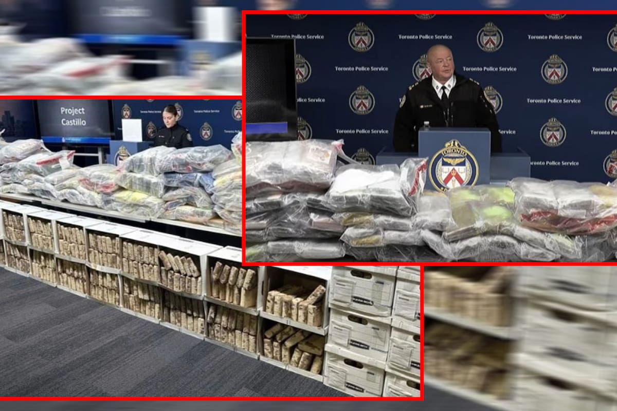 Interceptan récord de cocaína del CJNG en Canadá; decomisaron más de 83 mdd en drogas y detuvieron a 2 mexicanos
