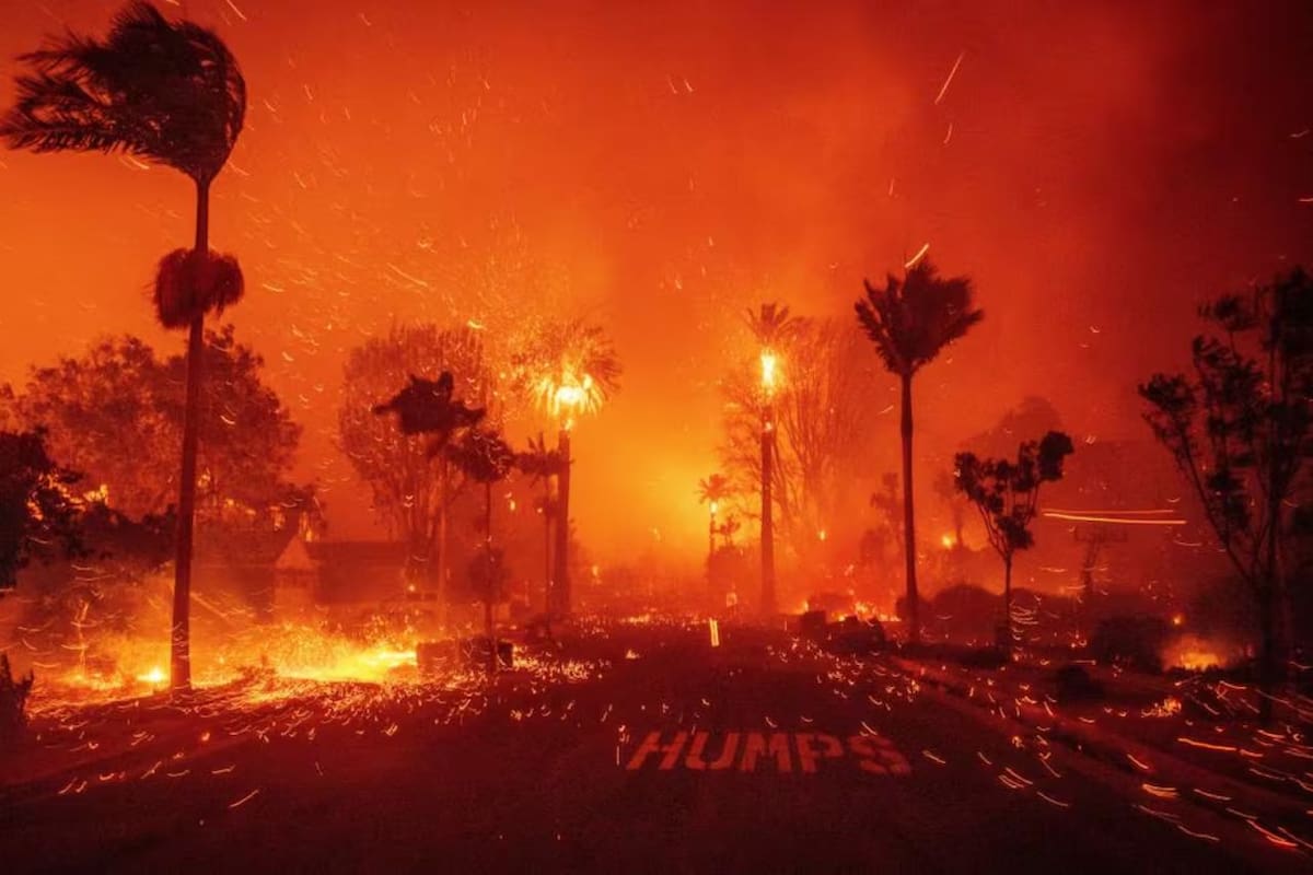 ARCHIVO. Incendios forestales en California. | Foto: AP
