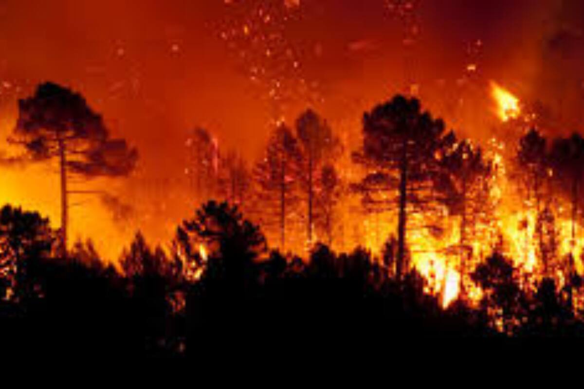 Evacúan a miles de personas, incluidos reclusos de máxima seguridad, por aparatosos incendios forestales en Canadá