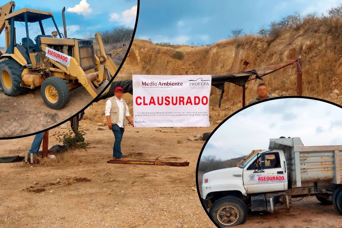 Profepa clausura predio en Chiapas por extracción ilegal de recursos naturales