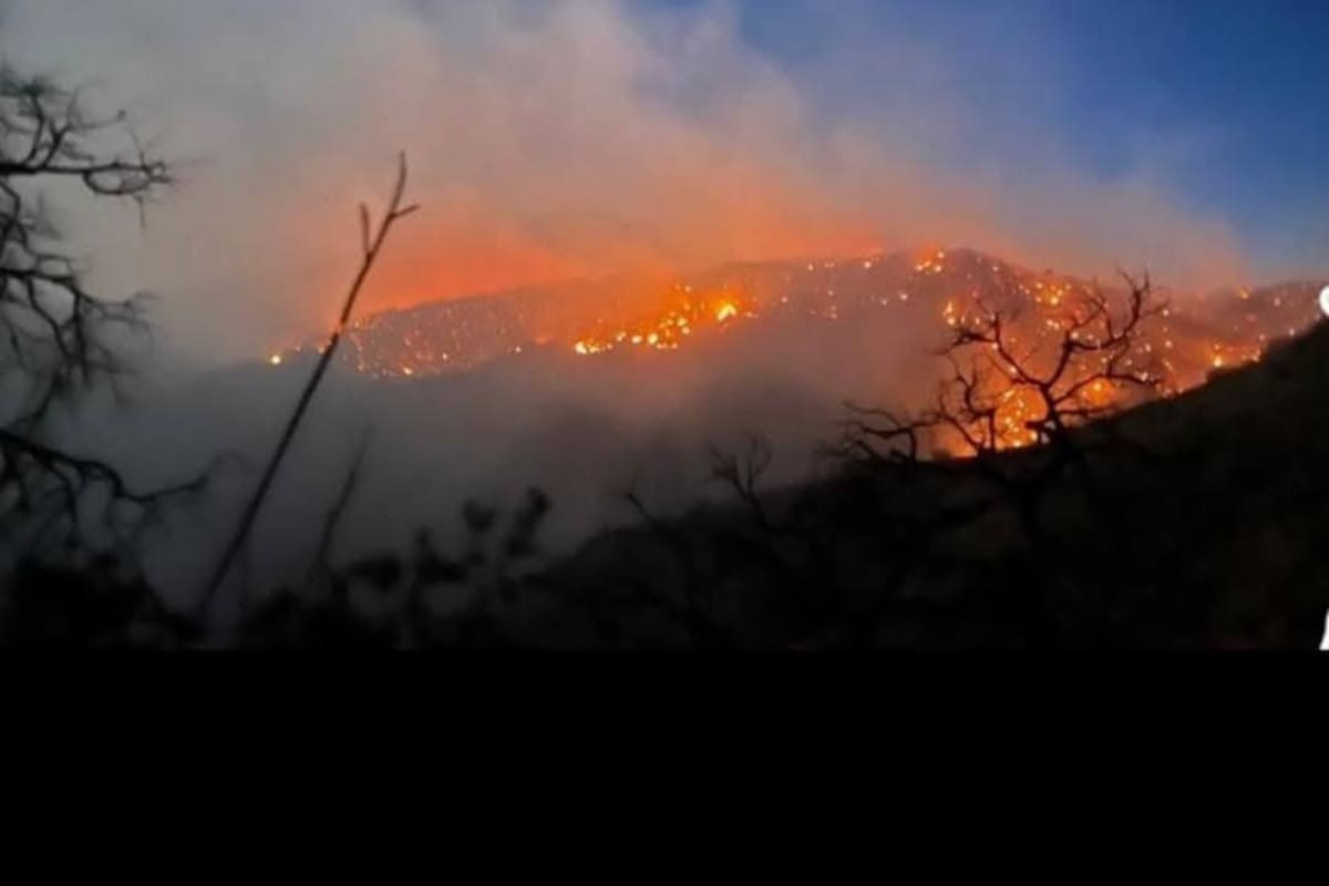 Piden apoyo urgente para brigadistas y familias afectadas por incendio forestal en la Sierra de Tarachi