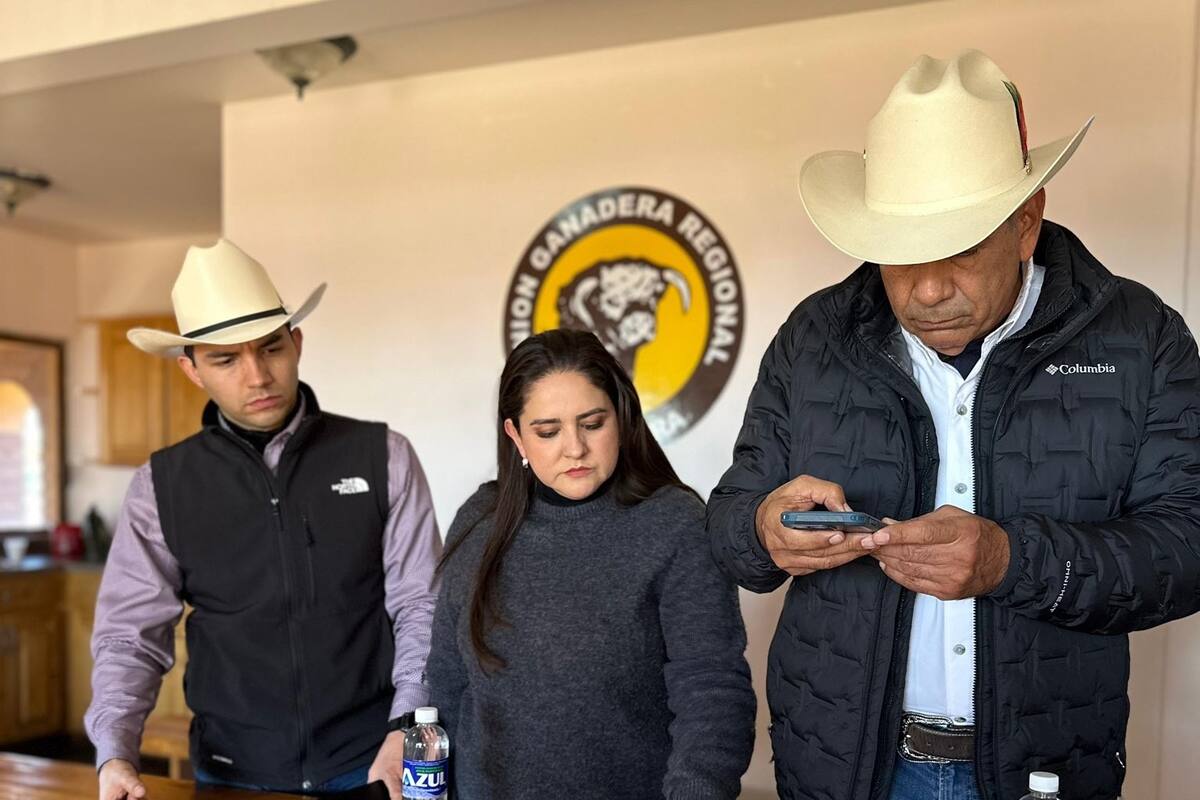 En una semana podría definirse fecha para apertura de frontera de EU a ganado de Sonora