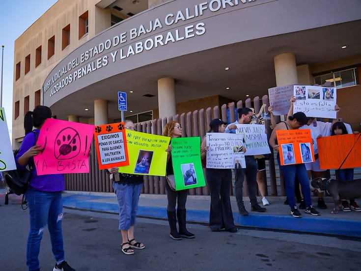 Lamentan que maltratador de perros de la Obrera sea dejado libre