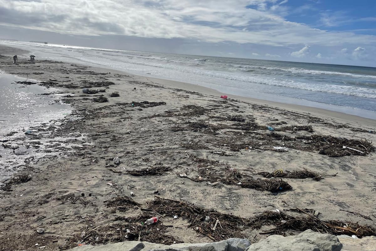 Basura invade playa de Rosarito