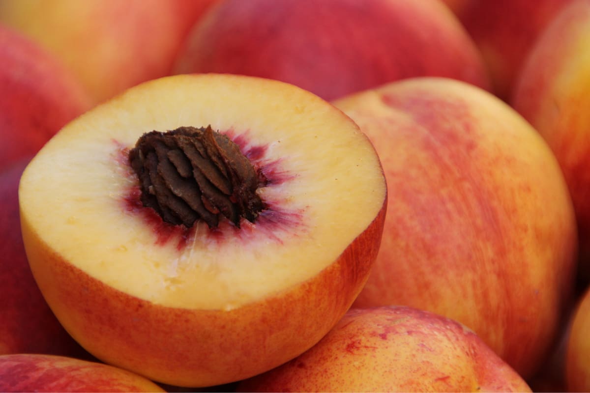 Los duraznos: una fruta refrescante con beneficios poco conocidos