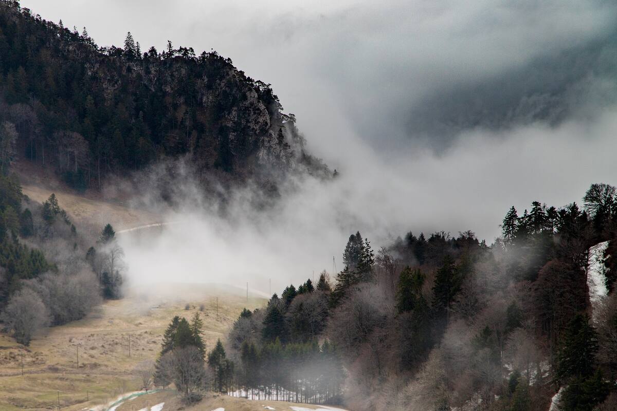 Se pronostican bancos de niebla y heladas en Chihuahua, Durango, BC y Sonora
