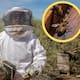 Las abejas cambiaron la vida de José Luis