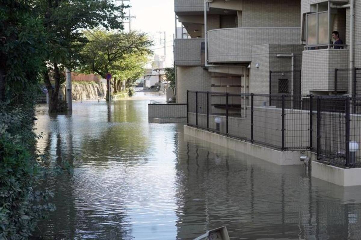 Mueren siete personas en Japón tras el paso del tifón "Hagibis"
