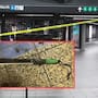 Policía de Nueva York dispara fatalmente a sujeto armado con machete en estación Grand Central luego de que ignorara más de 20 órdenes de rendirse; el agresor que aseguró ser “Lucifer” dejó a tres personas con lesiones graves