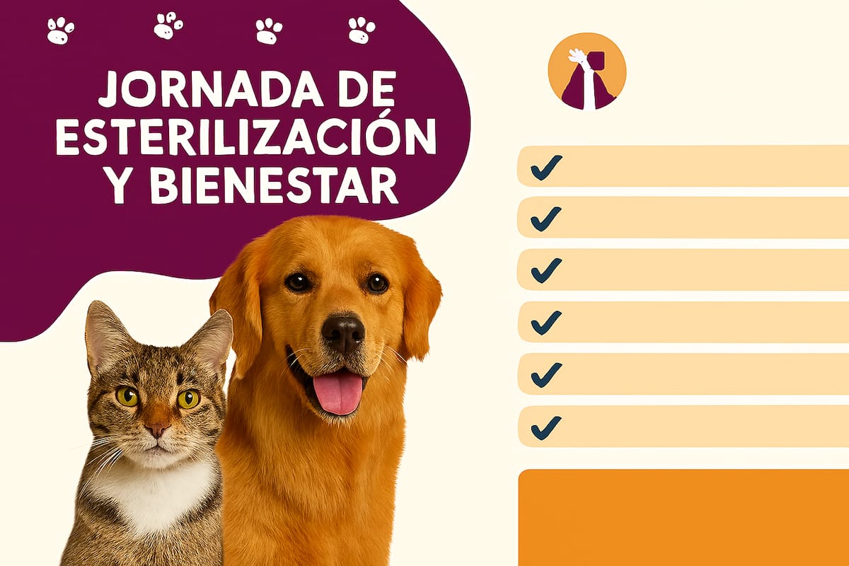 Atención gratuita para tus mascotas este 9 de septiembre en La Victoria: esterilización, vacunas y más