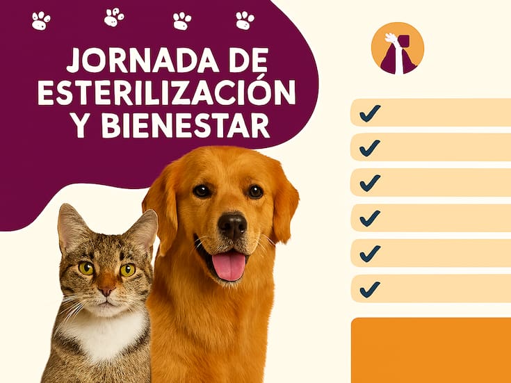 Atención gratuita para tus mascotas este 9 de septiembre en La Victoria: esterilización, vacunas y más