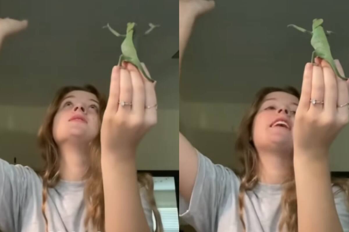 Joven y su camaleón se vuelven virales al alabar a Dios juntos, estirando ambos sus manos hacia arriba