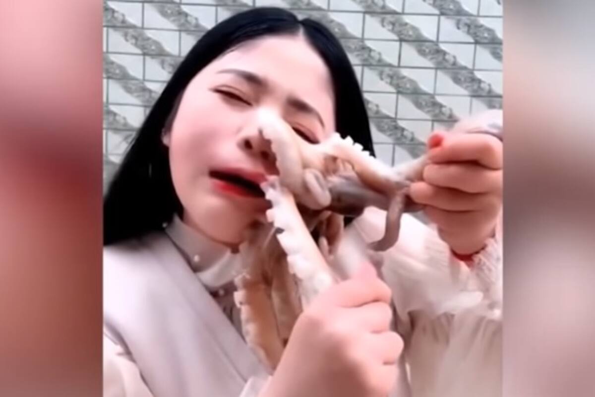 Intentó comer un pulpo vivo y todo salió mal