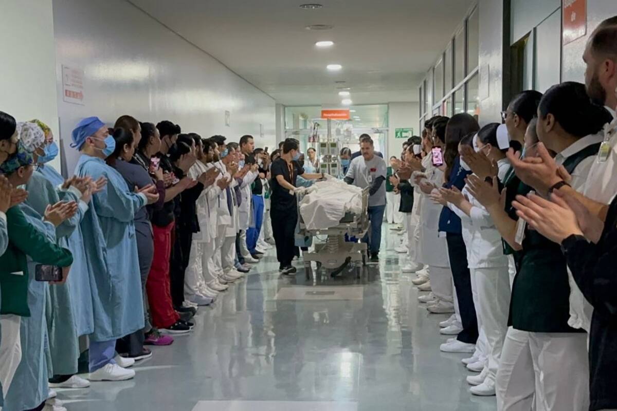 IMSS realiza más de 3 mil 252 trasplantes en 2024, ¿de qué tipo fueron?