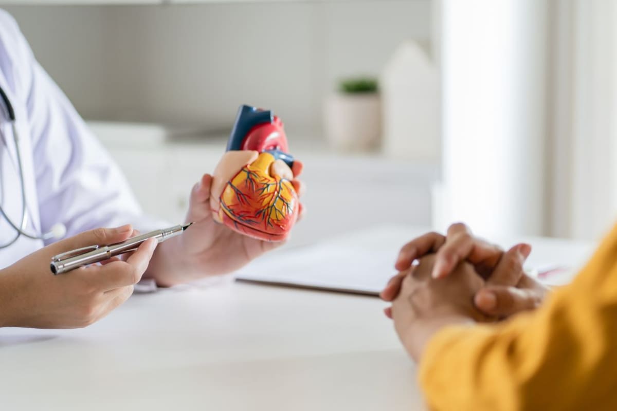 ¿Por qué el corazón casi nunca desarrolla cáncer pese a bombear sangre constantemente y su incansable actividad?