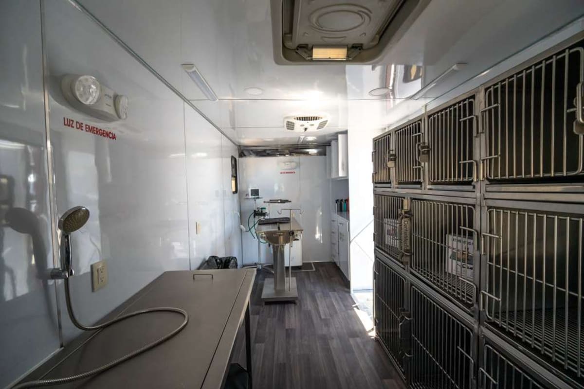 Las jornadas gratuitas permitirán realizar hasta 40 esterilizaciones por día y posteriormente se extenderán a otras delegaciones de Tijuana. Foto: Border Zoom
