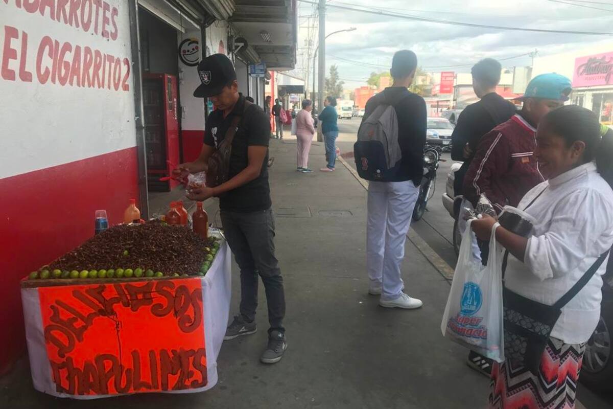 Venden chapulines con sal, limón y chile