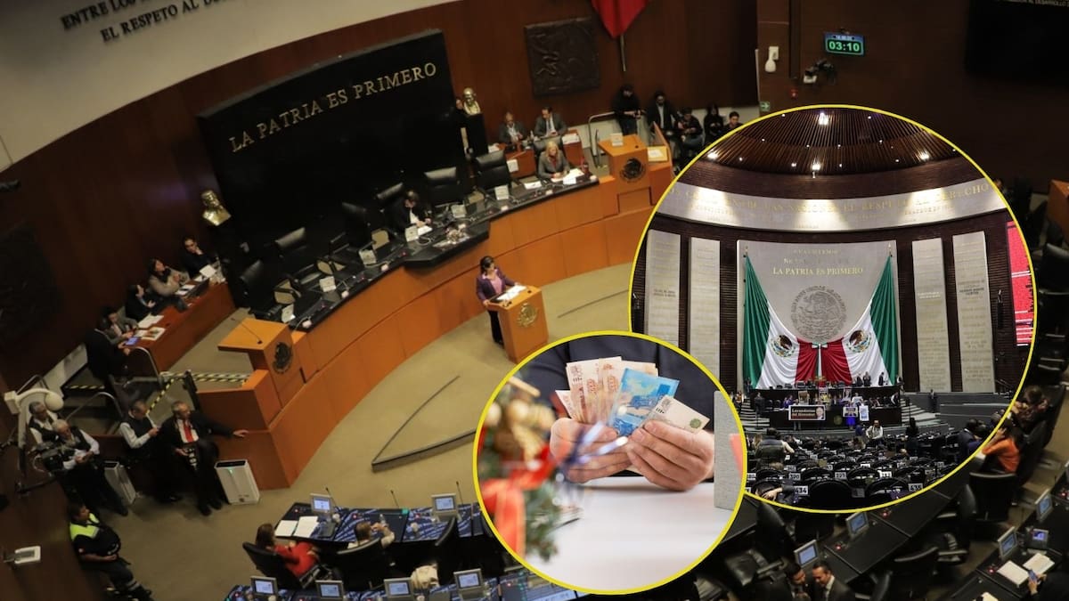 Mientras los diputados recibirán de aguinaldo un total de 304 mil 48 pesos en diciembre, los senadores se ‘embolsarán’ 384 mil 700 pesos, además de vales para despensa, seguros médicos y diversas primas