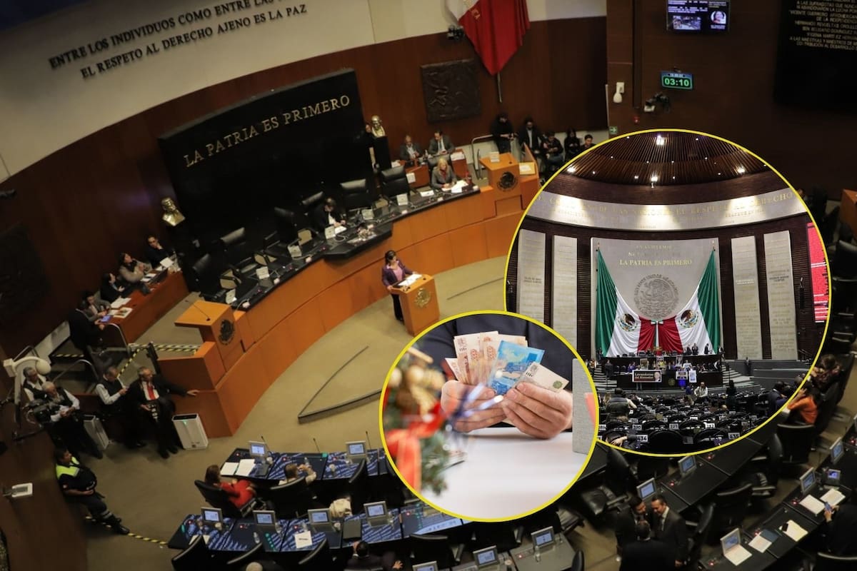 Mientras los diputados recibirán de aguinaldo un total de 304 mil 48 pesos en diciembre, los senadores se ‘embolsarán’ 384 mil 700 pesos, además de vales para despensa, seguros médicos y diversas primas